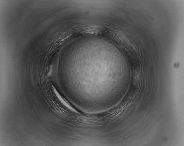 X0000098121394200804041357