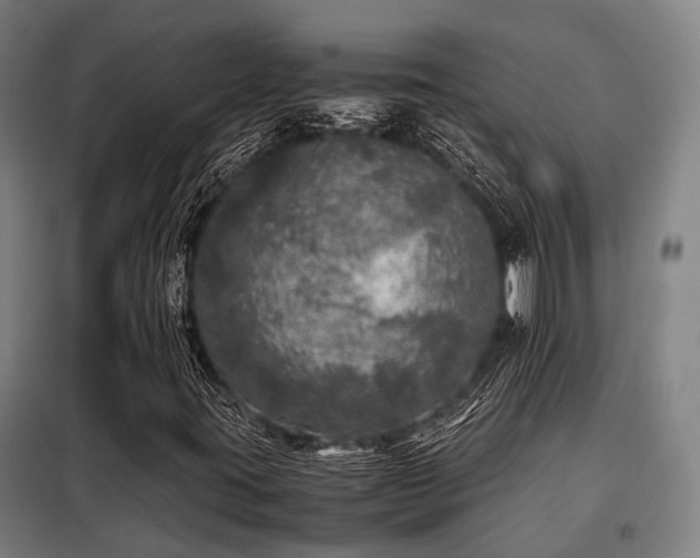 X0000098121395200804041357