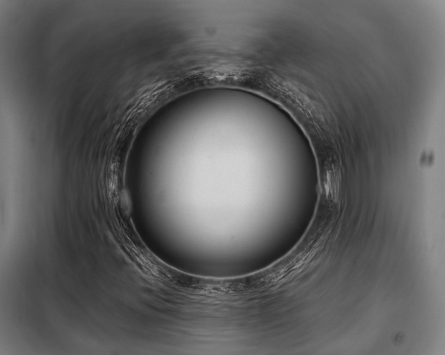 X0000098121396200804041357