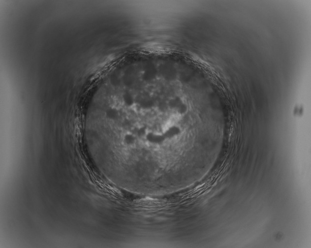 X0000098121397200804041357