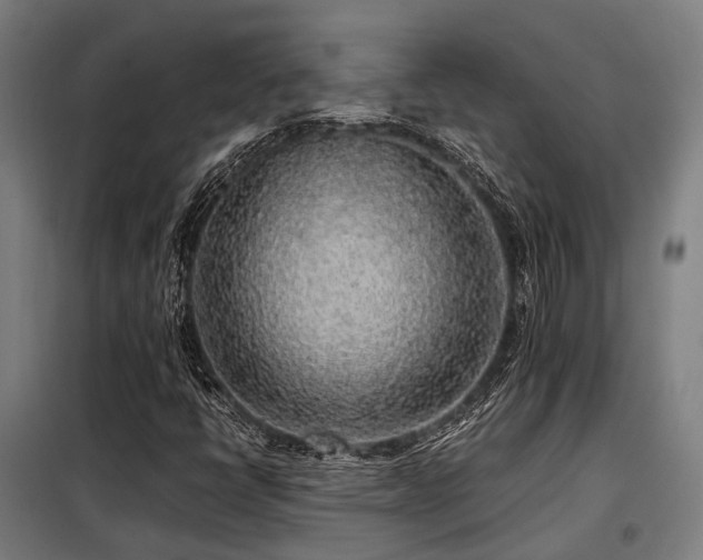 X0000098121398200804041357