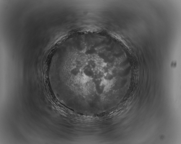 X0000098121399200804041357