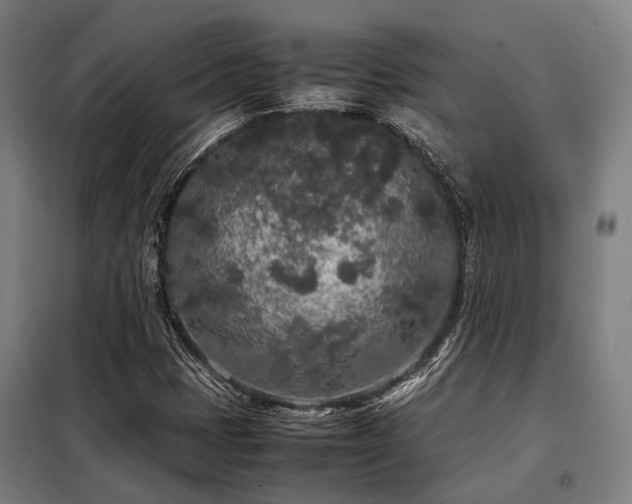 X0000098121401200804041357