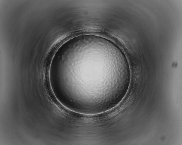 X0000098121402200804041357