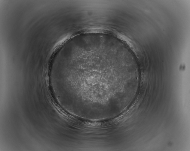 X0000098121403200804041357