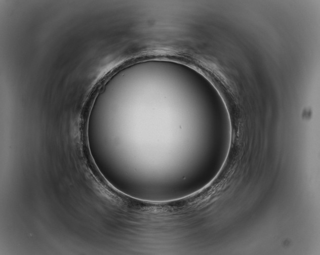X0000098121404200804041357