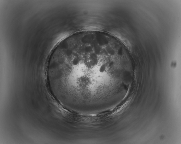 X0000098121405200804041357