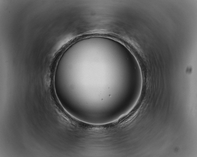 X0000098121406200804041357