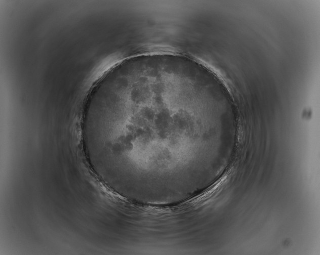 X0000098121407200804041357
