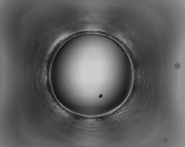 X0000098121408200804041357