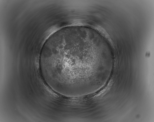 X0000098121409200804041357