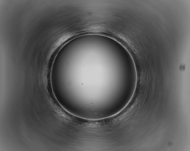 X0000098121410200804041357