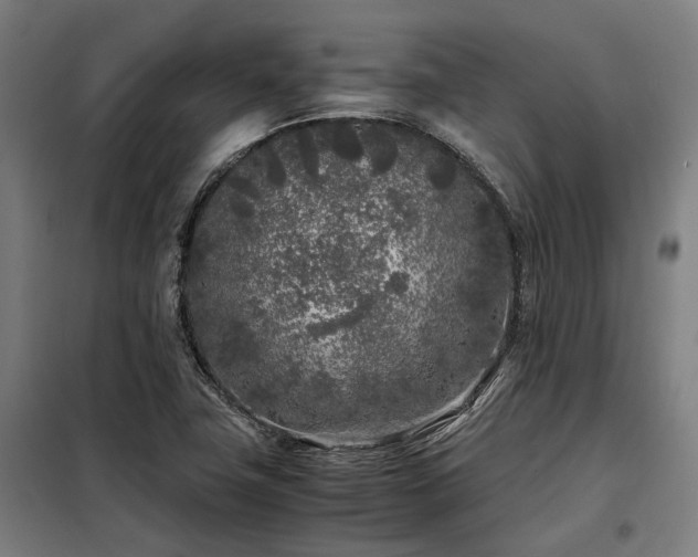 X0000098121411200804041357