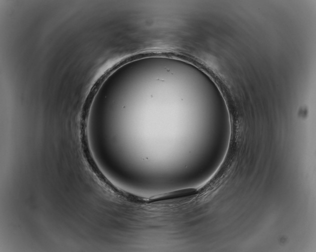X0000098121412200804041357