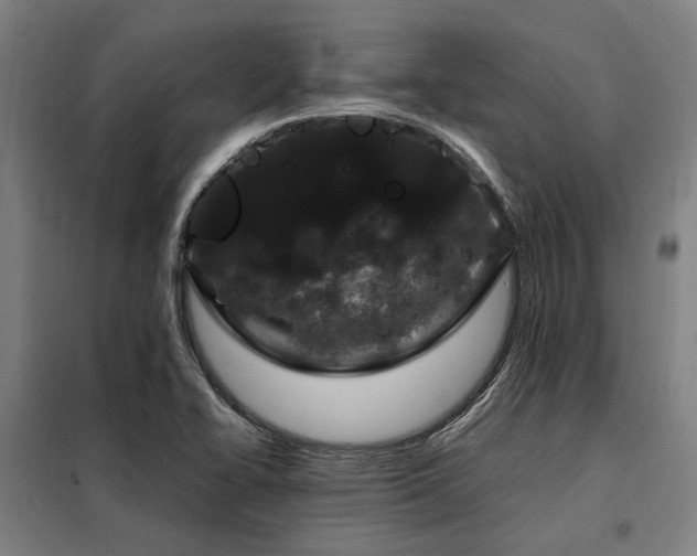 X0000098121414200804041357
