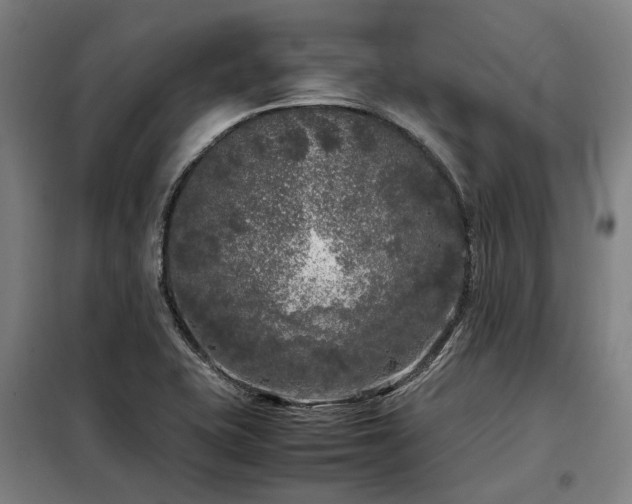 X0000098121415200804041357