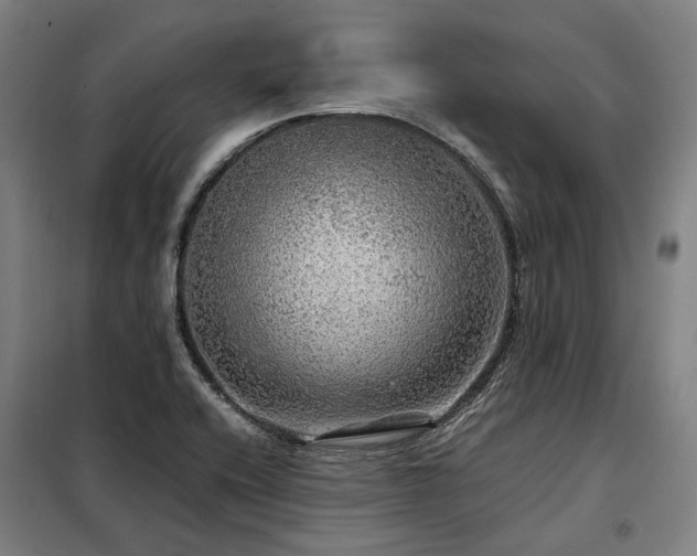 X0000098121416200804041357