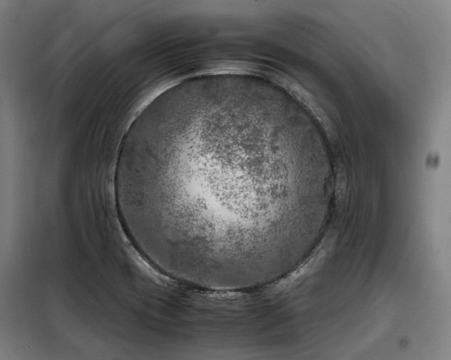 X0000098121417200804041357