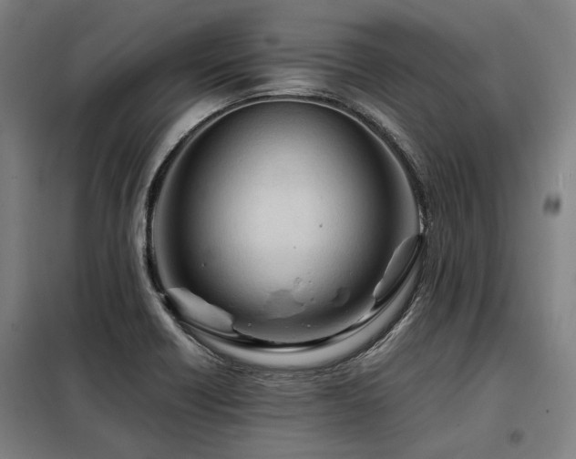 X0000098121418200804041357
