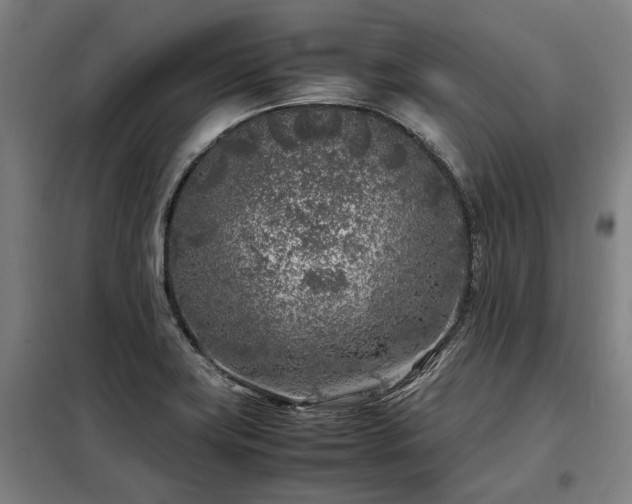 X0000098121419200804041357