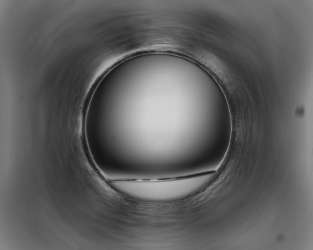 X0000098121420200804041357