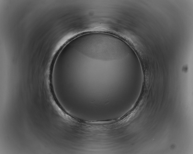 X0000098121422200804041357