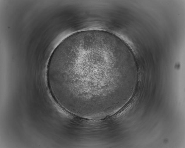 X0000098121423200804041357