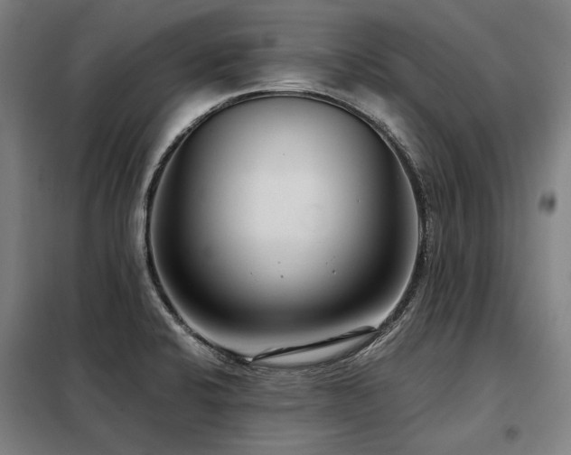 X0000098121424200804041357