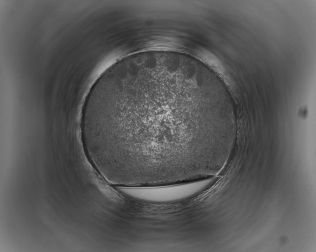 X0000098121427200804041357
