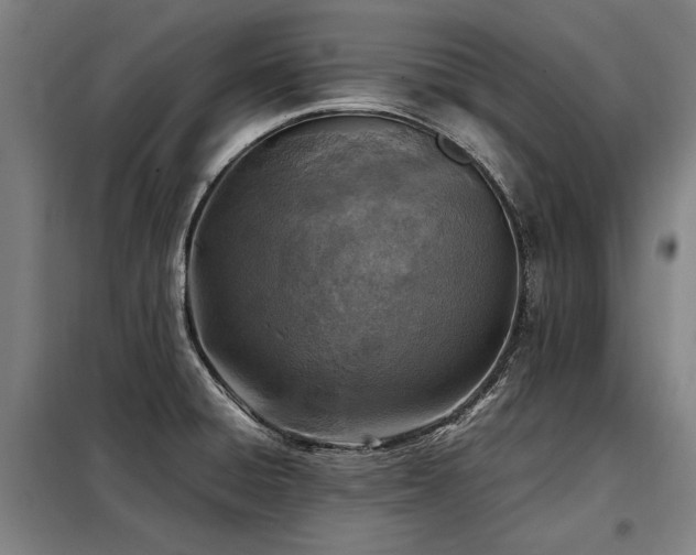 X0000098121428200804041357
