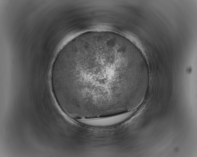 X0000098121429200804041357