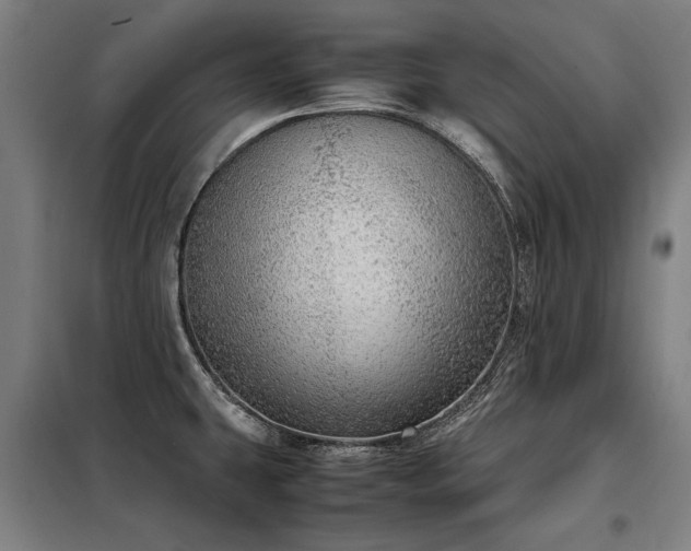 X0000098121431200804041357