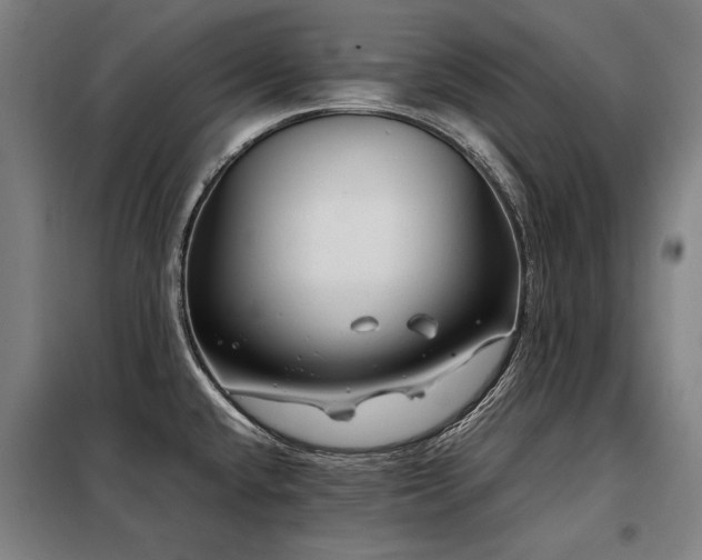 X0000098121432200804041357