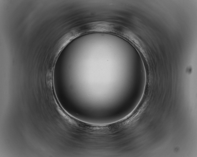 X0000098121433200804041357