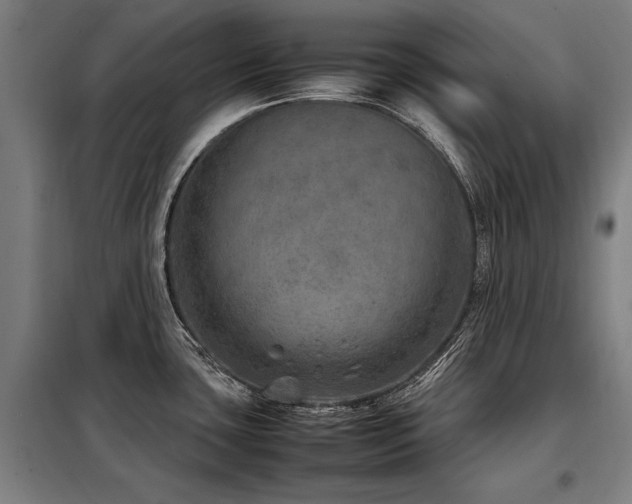 X0000098121435200804041357