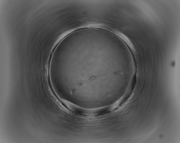 X0000098121436200804041357