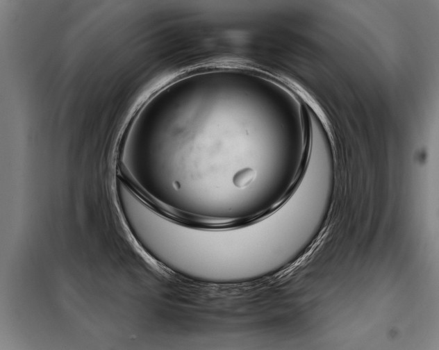 X0000098121437200804041357