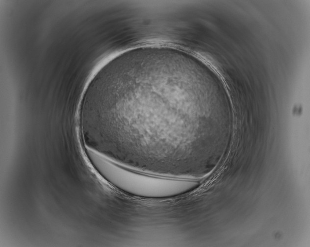 X0000098121440200804041357