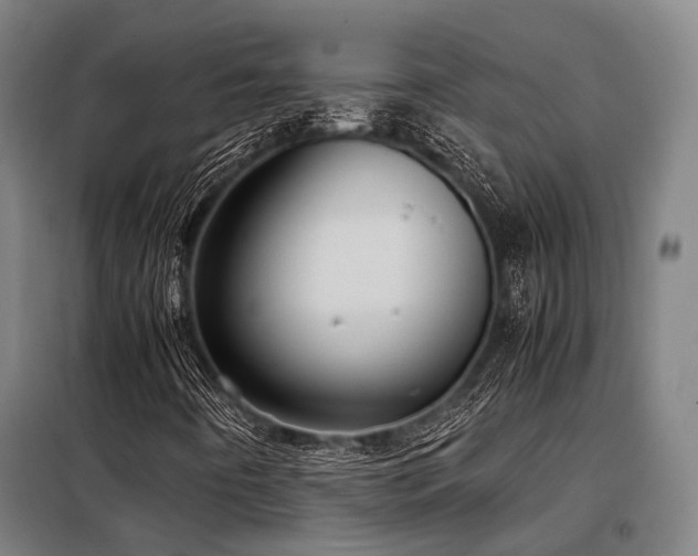 X0000098121442200804041357