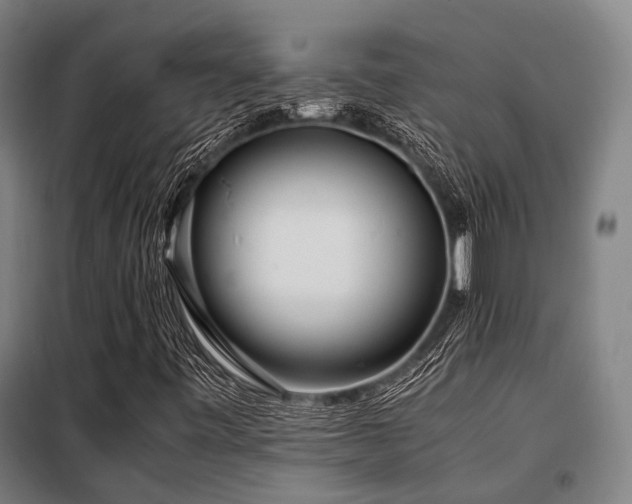 X0000098121443200804041357
