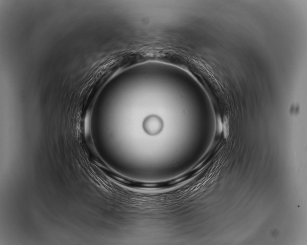 X0000098121444200804041357