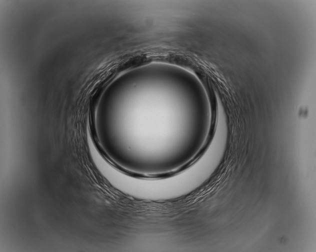 X0000098121445200804041357