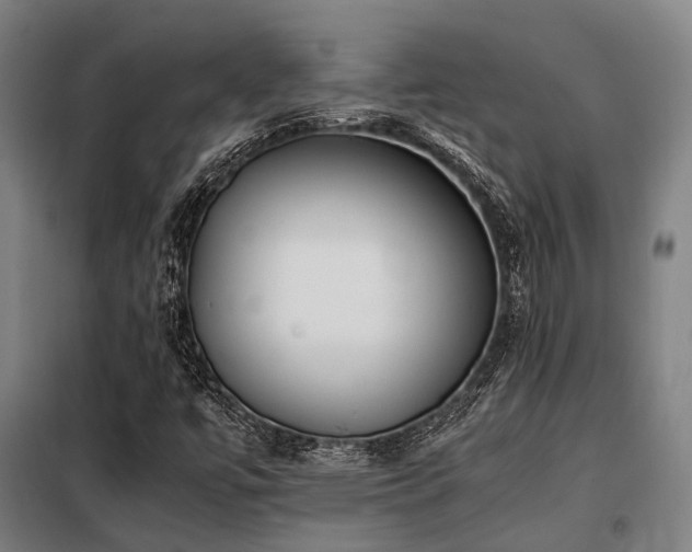 X0000098121447200804041357