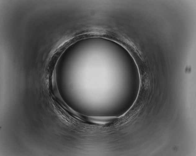 X0000098121448200804041357