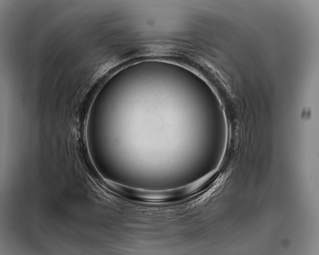 X0000098121449200804041356