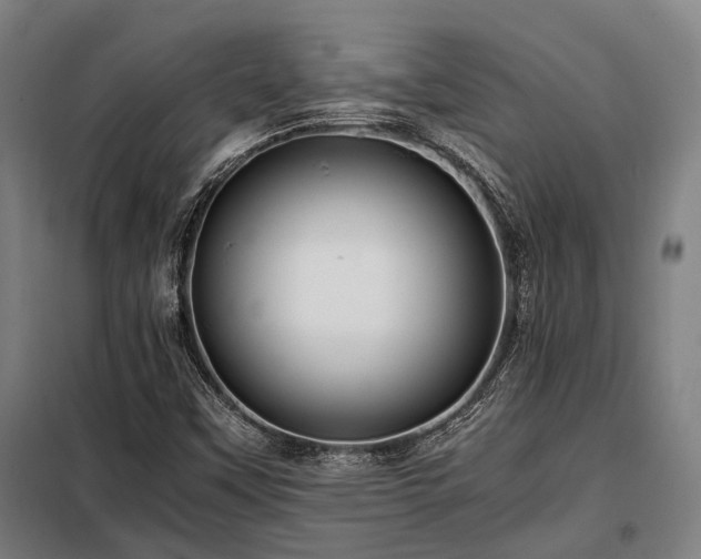 X0000098121451200804041356