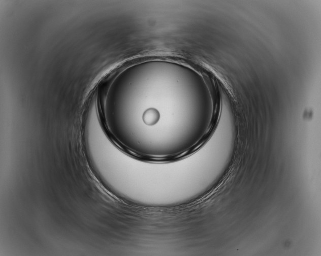 X0000098121452200804041356