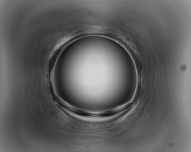 X0000098121453200804041356