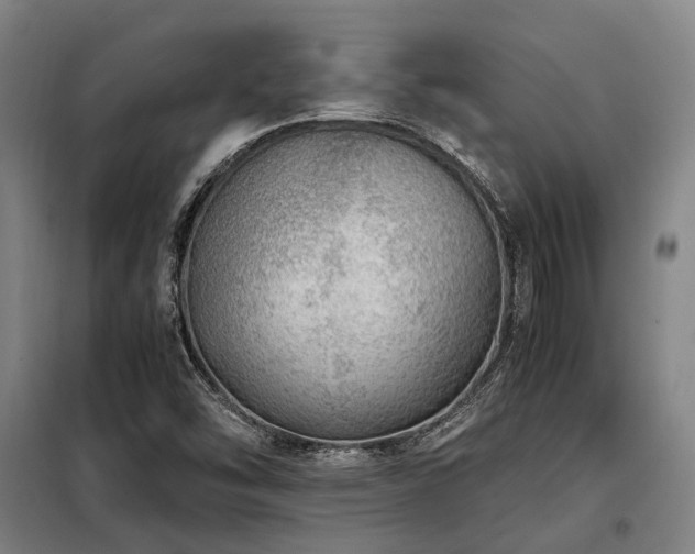 X0000098121454200804041356