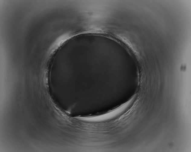 X0000098121455200804041356